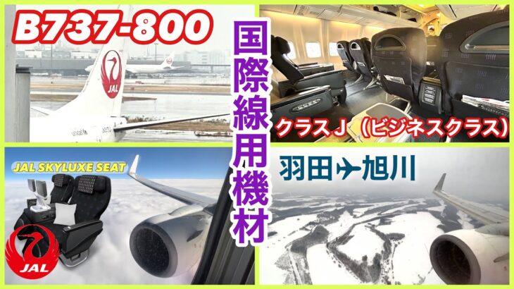 【日本航空】JAL B737-800 国際線用機材　クラスＪ（ビジネスクラス）羽田→旭川　JL555便