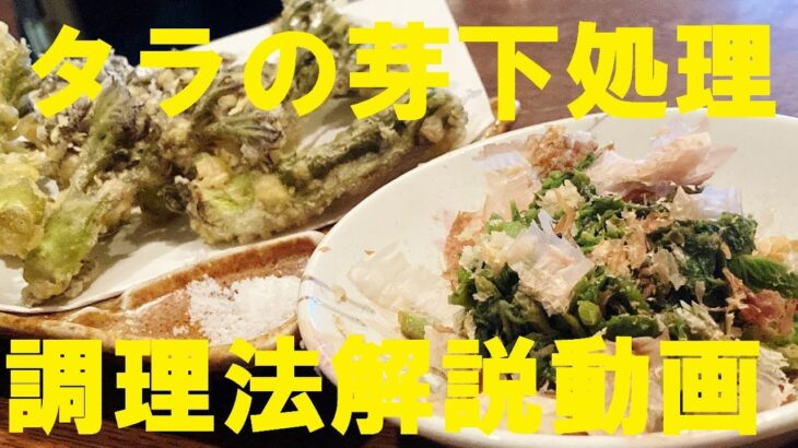 NEW 和食職人が【タラの芽】下処理・可食部分・食べ方徹底解説！【タラの芽天ぷら】【タラの芽おひたし】作り方