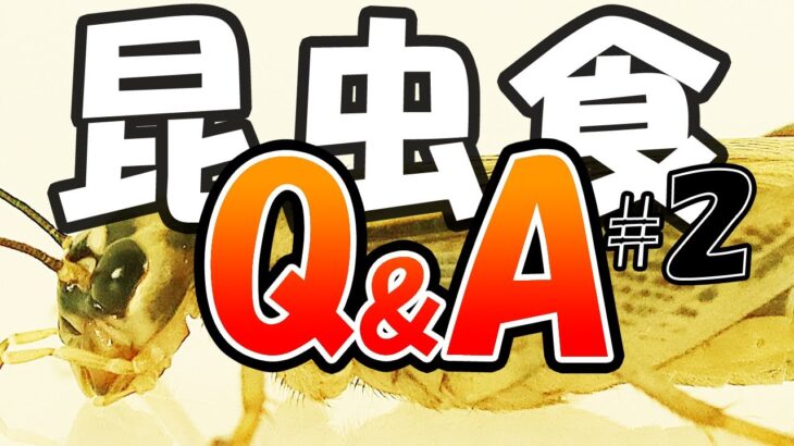 昆虫食不安？心配？　専門家が答えます。昆虫食Q&A ②