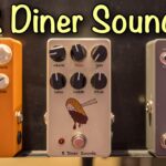 【コスパ最強‼】”音”と”食”が結びついた🍽️美味しそうなペダルを実食してみた😋🎸 R Diner Sounds / SPICE CURRY / MISOKATSU / WTKG