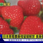 日本草莓農藥殘留擬解禁 食藥署研議放寬｜TVBS新聞 @TVBSNEWS01