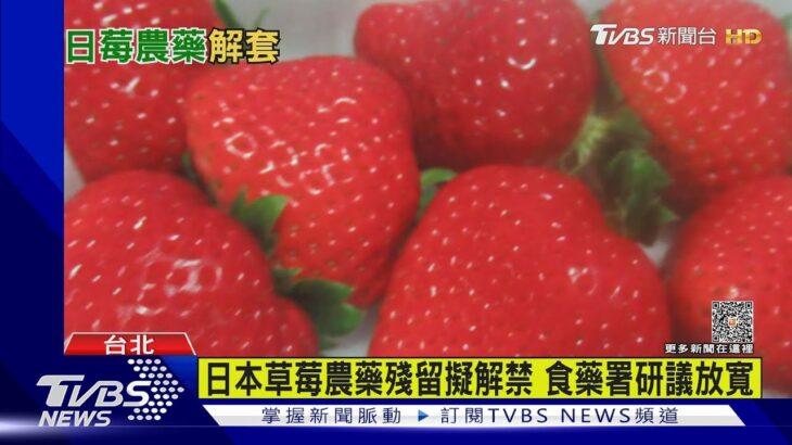 日本草莓農藥殘留擬解禁 食藥署研議放寬｜TVBS新聞 @tvbsnews02