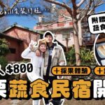 (抽住宿) 開箱！苗栗山上の異國風民宿：免費蔬食早餐、農村採果體驗、無菜單蔬食料理（石鍋拌飯＆芥末籽醬素干貝必吃🔥）｜找蔬食Traveggo