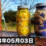 【 食生活 VLOG 】天気が良いからウォーキングと草木染！！ ｜アラフィフ・ダイエット