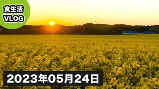 【 食生活 VLOG 】夕日に輝く黄金の菜の花は安平町の宝だと思いました！！！この時期にしか見れな絶景を観に来てほしい！ ｜アラフィフ・ダイエット