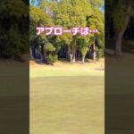 #女性起業家 #ゴルフ女子 #golf好き