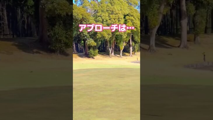 #女性起業家 #ゴルフ女子 #golf好き