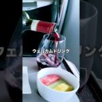 #jal #ビジネスクラス #businessclass