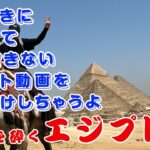 「 忖度なしのバッドレビューofエジプト」 “旅行8日目”　【ビジネスクラス世界一周旅行】