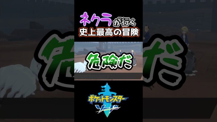 【ポケットモンスターソード】あいつらはビジネスパートナーではありません#ゲーム実況 #switch #ポケモン #shorts