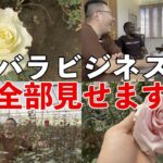 【完全公開】ケニアのバラ輸入ビジネスの一部始終をお見せします！生花ビジネスとケニアのバラ農園のリアルをお届けします