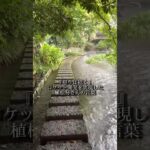 思うは招く｜三島で起業