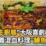 尋找台灣感動力-料理「食」境秀 日職人魂燃義式熱情