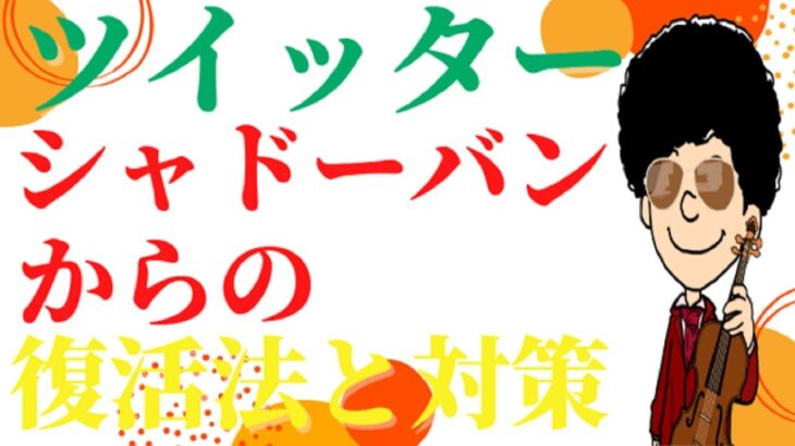 【ビジネス】ツイッターシャドーバンからの復活方法と対策