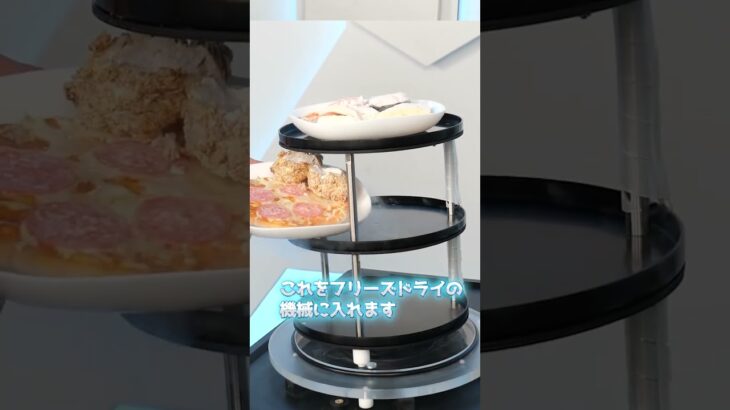 からあげは宇宙食になるのか？