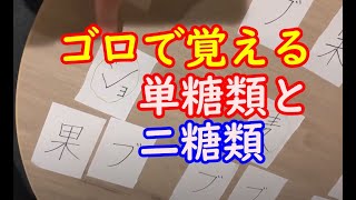 【食と栄養】モブ君と覚える単糖類と二糖類～ゴロもあるょ(*’▽’)ﾉ