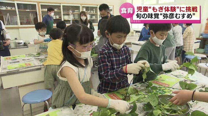 【ブランド枝豆】小学校で食育授業「弥彦むすめ」の“もぎ体験”に挑戦　《新潟》