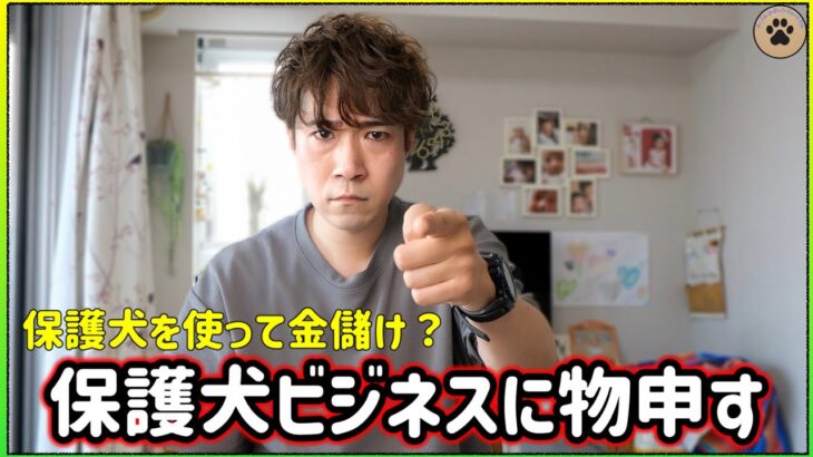 保護犬を使って金儲けしている保護犬ビジネスをぶった斬る