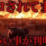 【削除覚悟】コオロギ食の闇。知らないとヤバい鳥インフルエンザと火災