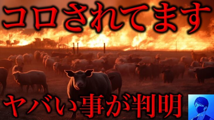 【削除覚悟】コオロギ食の闇。知らないとヤバい鳥インフルエンザと火災