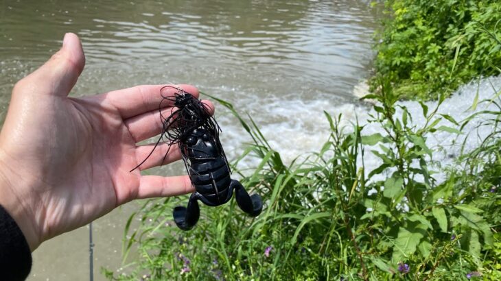 水路にある流れ込みにカエルぶち込んだらひたすら食われました