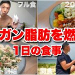 ダイエット開始!!脂肪だけガンガン減らすフル食。