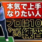 【ビジネスゾーン】プロは100％やっている効果の高いドリル。でも意外なデメリットもあります。本気の方向けの練習方法