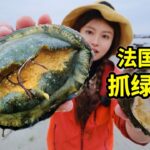 法国赶海2小时能抓什么？龙虾鲍鱼能爆桶，做海鲜意面味道好 | 鲍鱼 | 赶海 | 法国 | 龙虾 | 海鲜 |