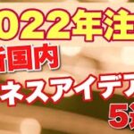 【2022】これは面白い！？国内の魅力的で興味深いビジネスアイデア実例　5選