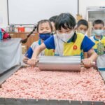 2023 06 21 新生幼兒園大班「腳踏食地 池上之旅」