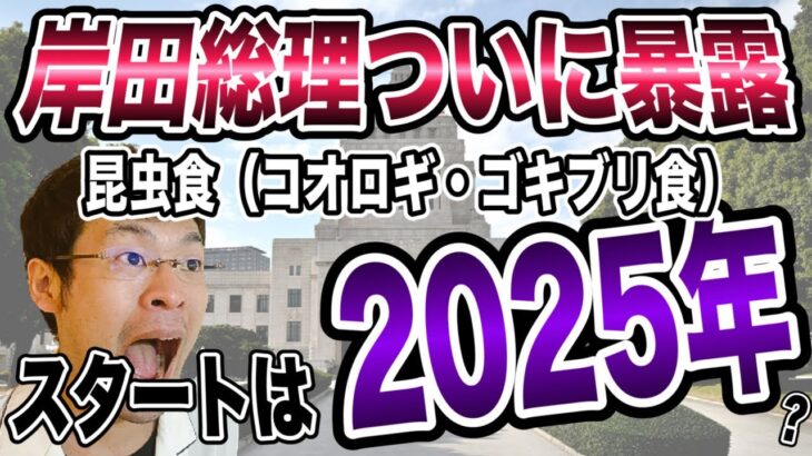 【昆虫食は2025年から本格化】国の計画が思いっきりバレてしまった”昆虫食計画”をすべてお話しする！