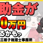 250万円の補助金が受取れる!?【税理士】#起業