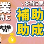 【実体験】起業するときに本当に使える補助金・助成金4選