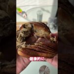 話題の完全栄養食BASE BREAD食べた結果ww #shorts