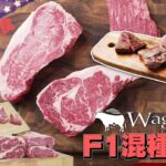 阿Dee識食 | 美國 Wagyu X F1 混種和牛 | MacDonald Meat 唔係McDonald’s Meat | 肉汁香甜 油香十足