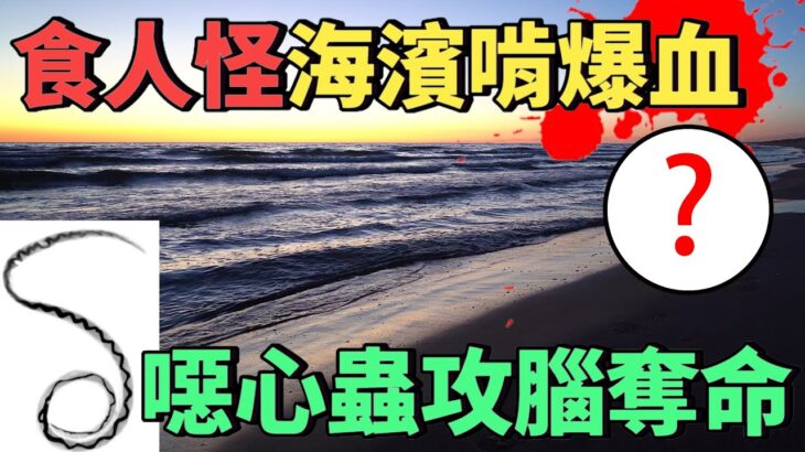 食人海怪是大王具足蟲親戚？蛞蝓襲腦奪命？曉菁主播JudyVlog