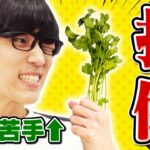 【超難問】ふくらP何食べたでSHOW！【野菜食レポ】