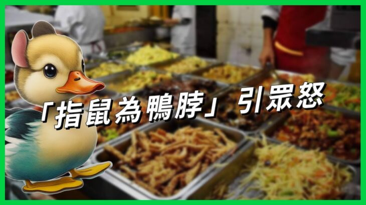 「指鼠為鴨脖」官方硬拗犯眾怒  食安問題累犯 中國「史上最強食品安全法」為何沒效？ 【TODAY 看世界】