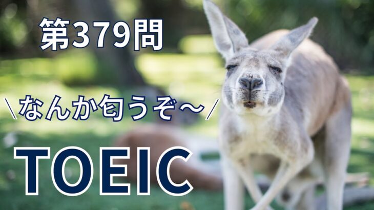 【TOEIC対策】「見る1000」第379問 ☞◯◯な起業家は。関係詞判別問題。〔①単語→②文法→③音読〕でPart5を完全攻略。