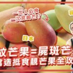 #餓底TV│當造抵食靚芒果全攻略！豹紋芒果嘅黑點係屍斑？點揀芒果先最靚？抵食必揀泰國貴妃芒 菲律賓呂宋芒？一世人必要食一次宮崎芒？#香港美食 #街市餓底 #生果 #水果 #貼士 #新蒲崗