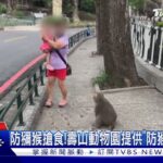 食藏起來!壽山動物園提供「防猴帆布袋」防獼猴搶食｜TVBS新聞 @TVBSNEWS01