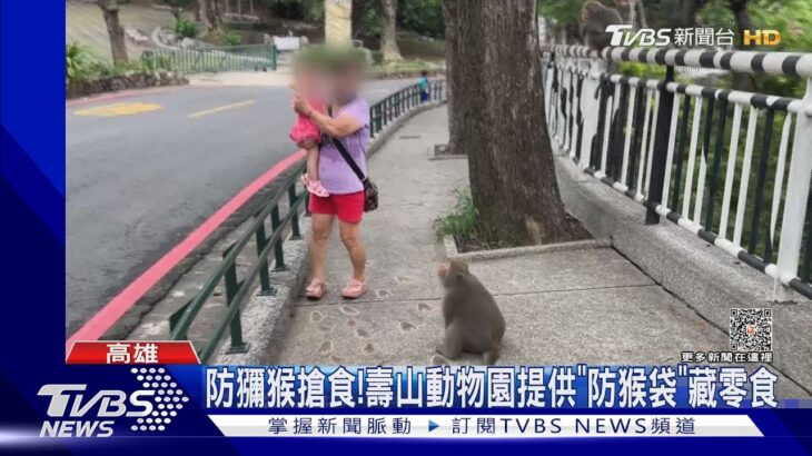 食藏起來!壽山動物園提供「防猴帆布袋」防獼猴搶食｜TVBS新聞 @TVBSNEWS01