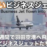 【珍しいビジネス・プライベートジェット】ここ１週間で羽田空港に飛来 Unusual business jets that have flown into HND in the past week