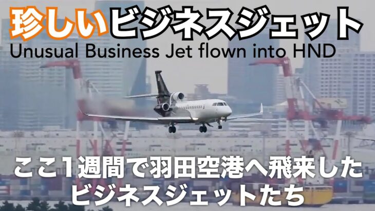 【珍しいビジネス・プライベートジェット】ここ１週間で羽田空港に飛来 Unusual business jets that have flown into HND in the past week