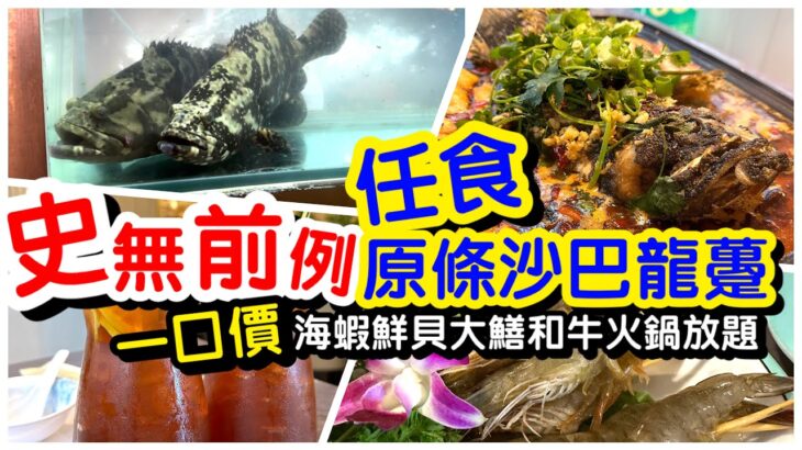 #馬加貓｜一口價任食原條沙巴龍躉｜四大海鮮海蝦白鱔無限任食｜紅白酒啤酒任飲｜麻辣蕃茄烤魚｜銅鑼灣美食｜任飲任食｜火鍋放題｜ft. 漁港薈