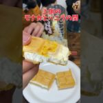 【ダンディーバニラ】モナカとバニラの間に驚愕のバキザク食感!#shorts