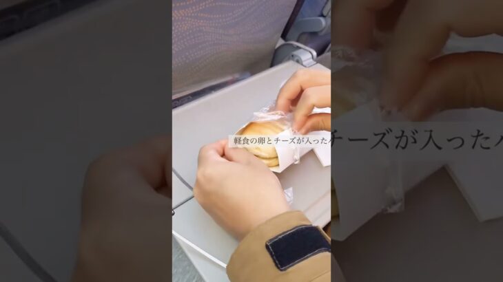 エミレーツ航空の機内食まとめ！美味しくておなかいっぱい♪#shorts