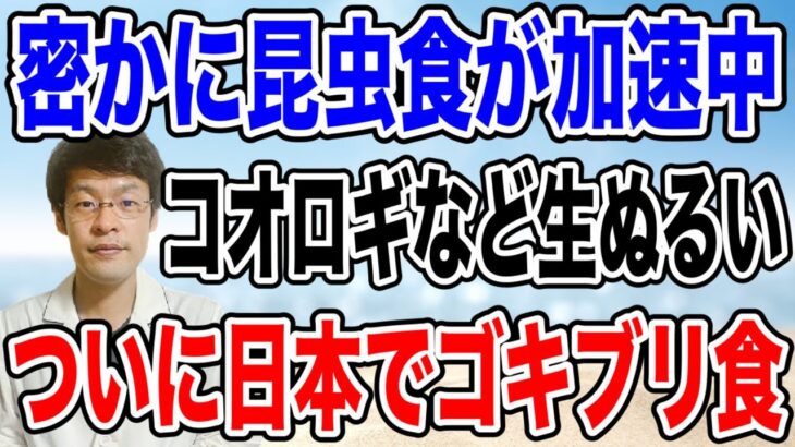 【恐怖の昆虫食】とうとう日本人にゴキブリを食べさせ始める時代が来た！本格的に戦わないといけない！