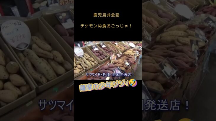 鹿児島弁会話！チケモンぬ食おごっじゃ！