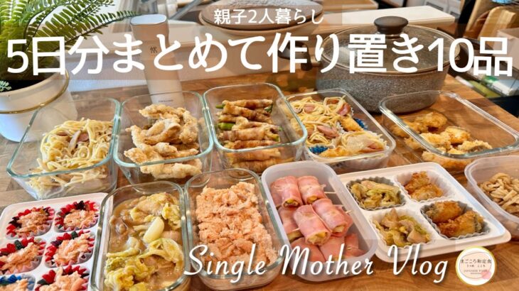 【簡単冷凍保存食】長期保存できる１０品の作り置きおかずレシピ！｜我が家の冷凍庫も公開！